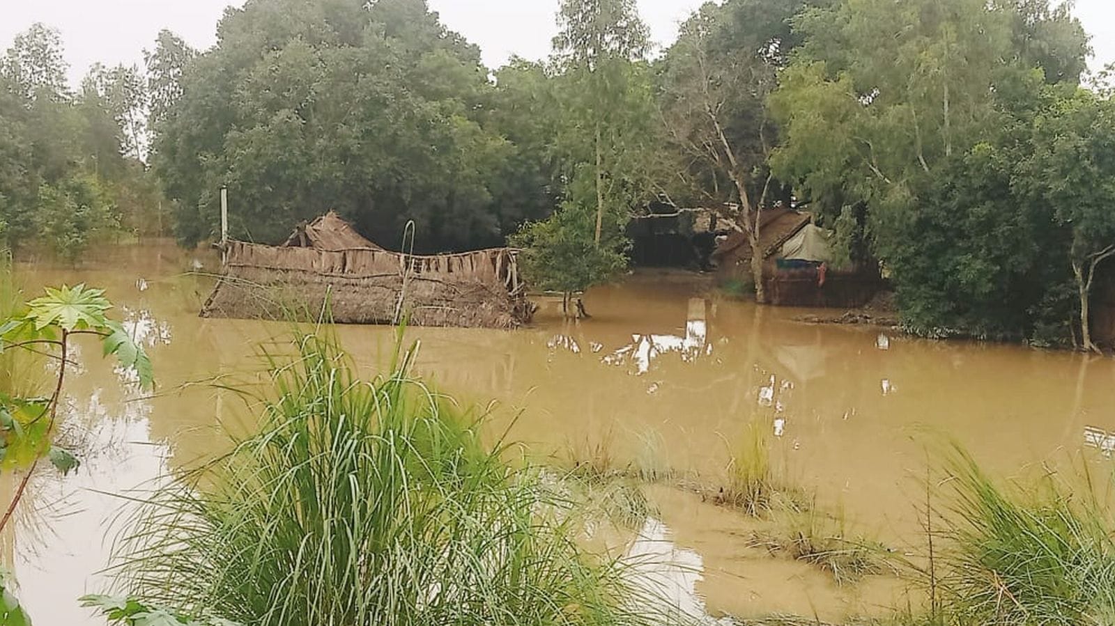 नेकपुर रेलवे क्रासिंग पर बने अंडरपास में भरा पानी। संवाद