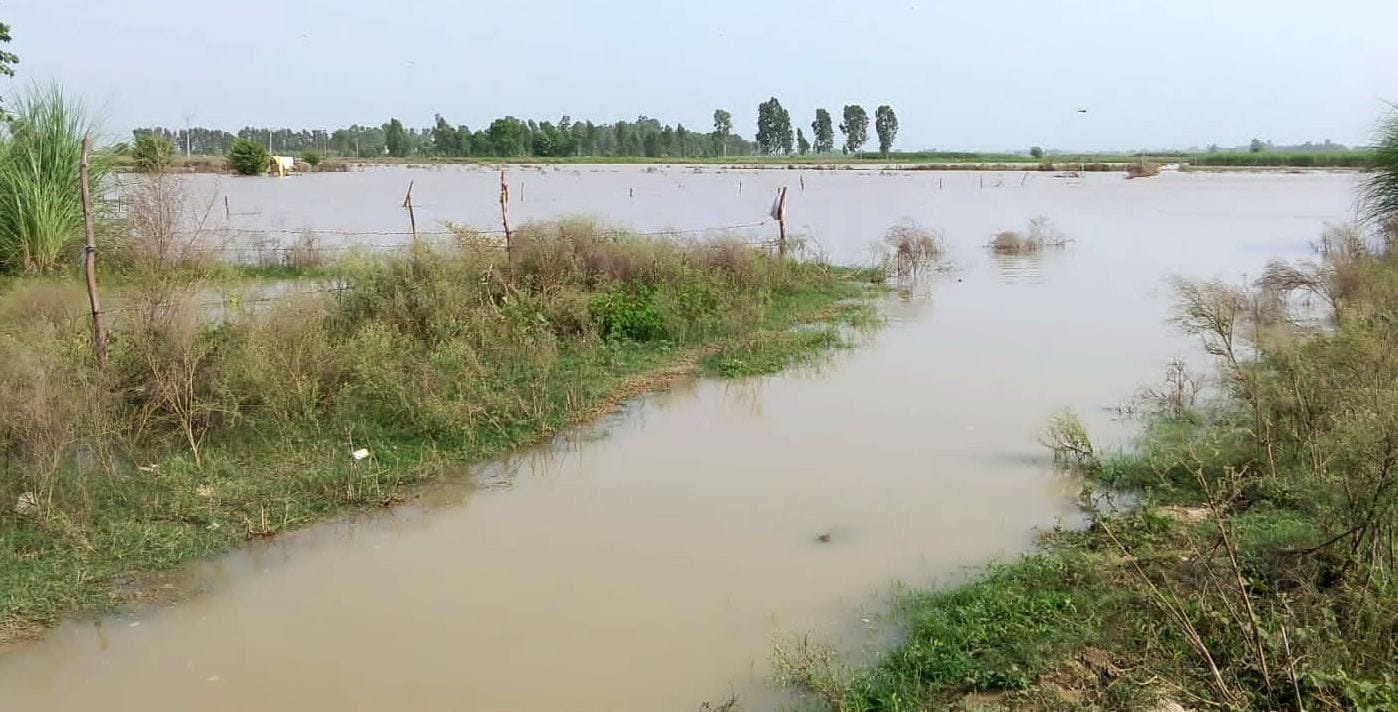 रामगंगा की बाढ़ से जलमग्न ग्राम बीघापुर पश्चिमी। बाढ़ पीड़ित