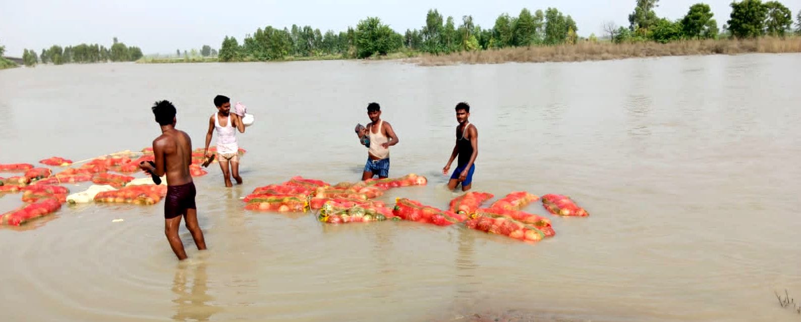 रामगंगा की बाढ़ से जलमग्न ग्राम बीघापुर पश्चिमी। बाढ़ पीड़ित