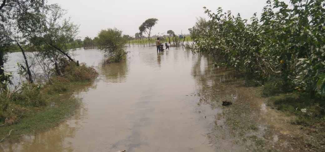 रामगंगा की बाढ़ से जलमग्न ग्राम बीघापुर पश्चिमी। बाढ़ पीड़ित