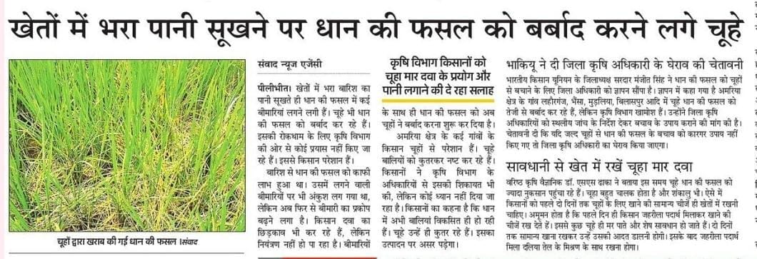 अमरिया क्षेत्र में जांच करने पहुंची कृषि विभाग की टीम ।