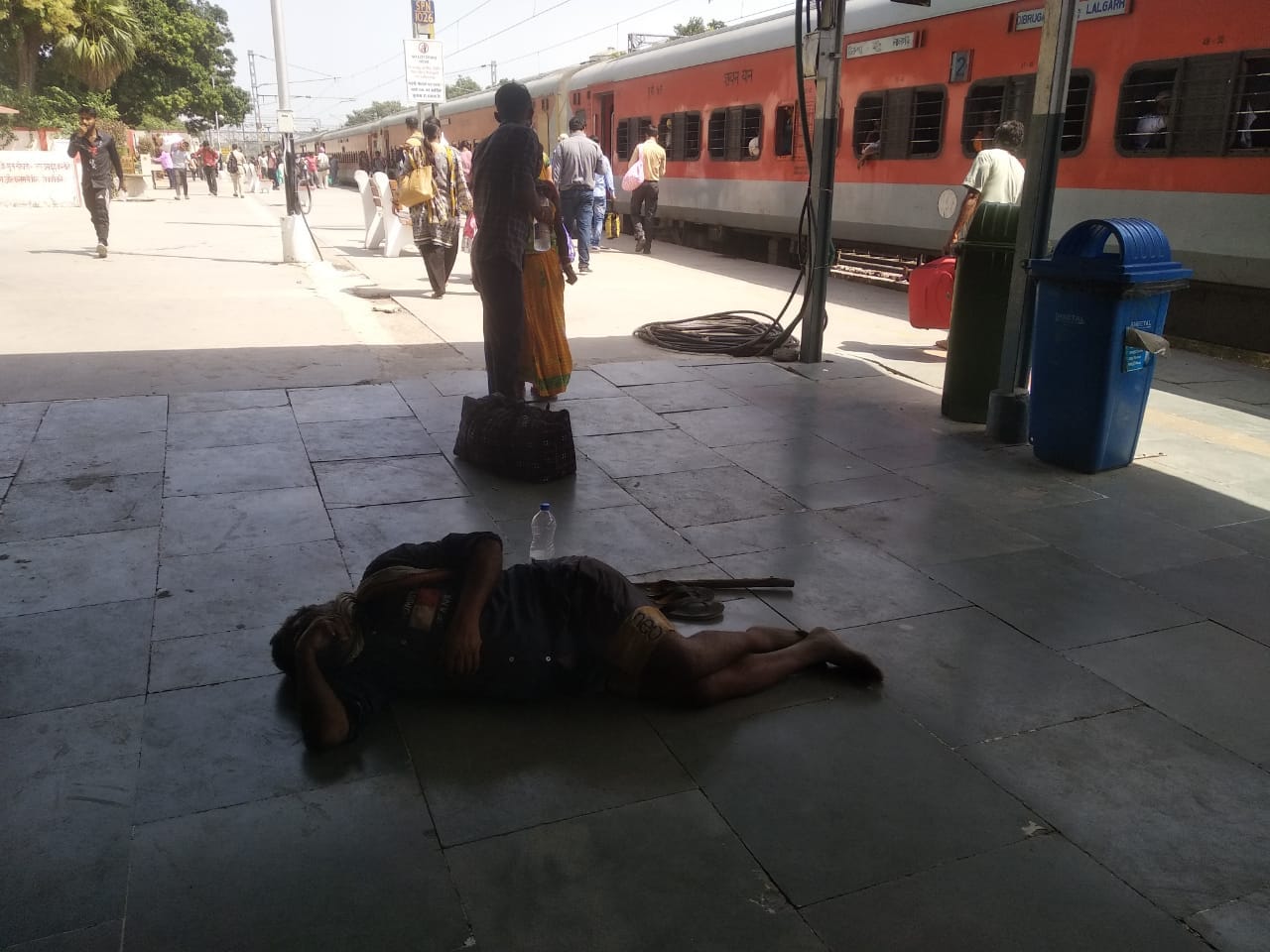 शाहजहांपुर में रेलवे स्टेशन के प्लेटफार्म पर घूमता श्वान