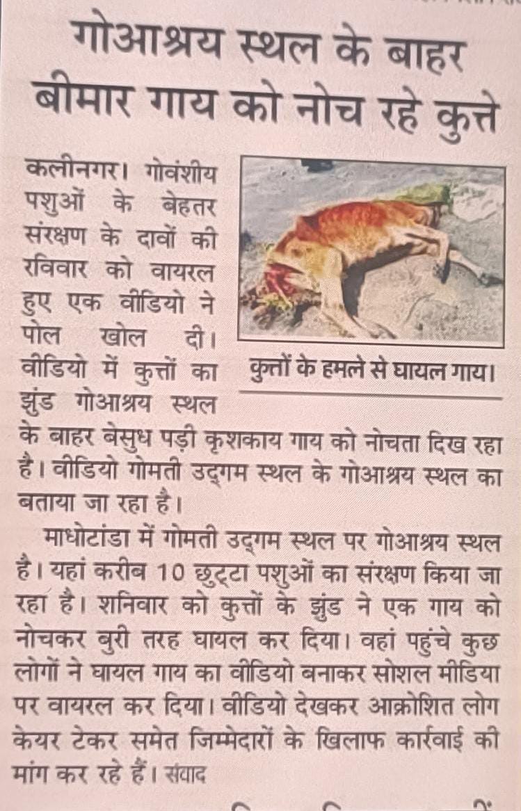 प्रकाशित खबर ।