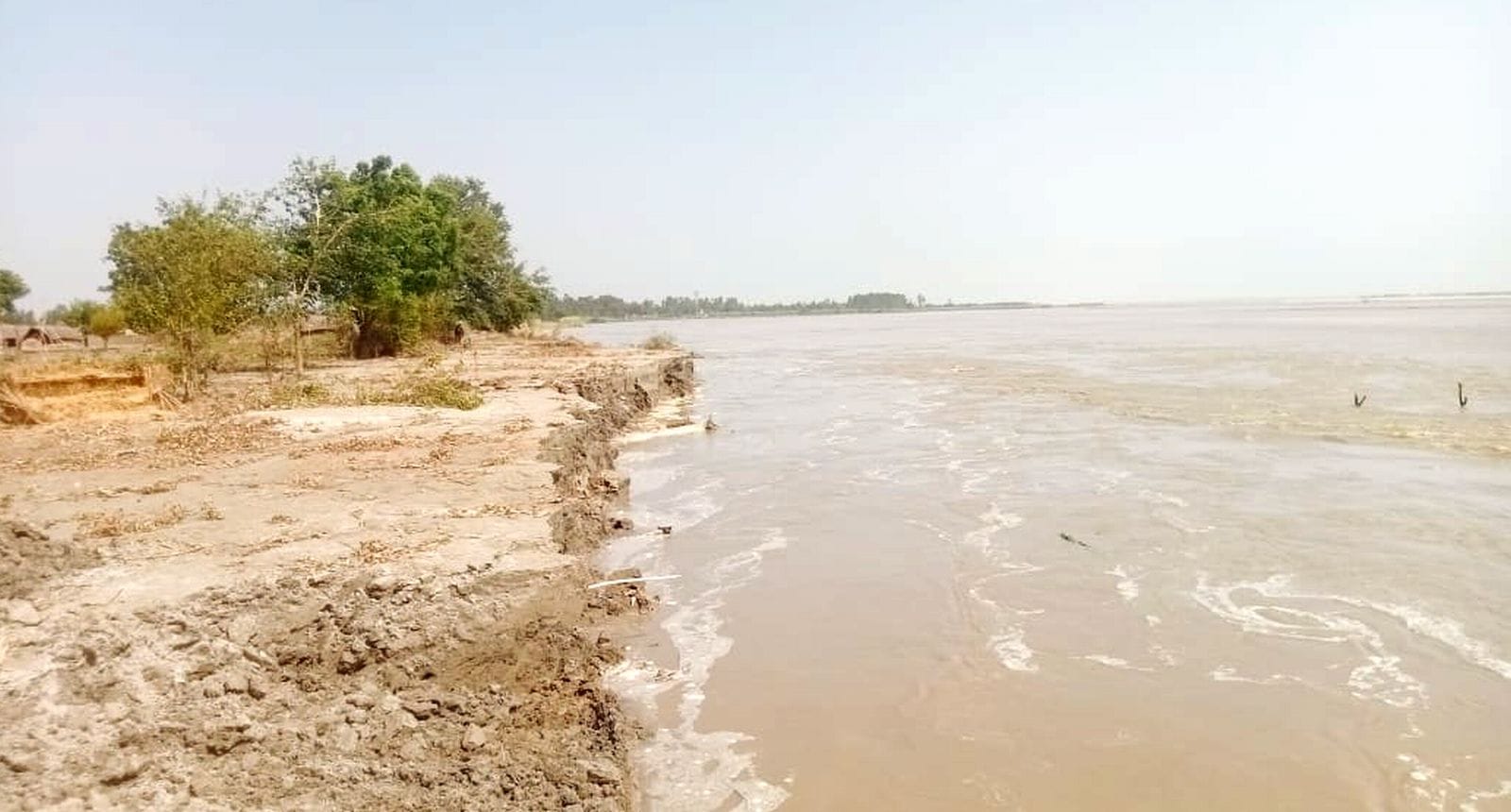 तौफी नगला में गंगा महावा तटबंध पर पन्नी डालकर रह रहे ग्रामीण। संवाद