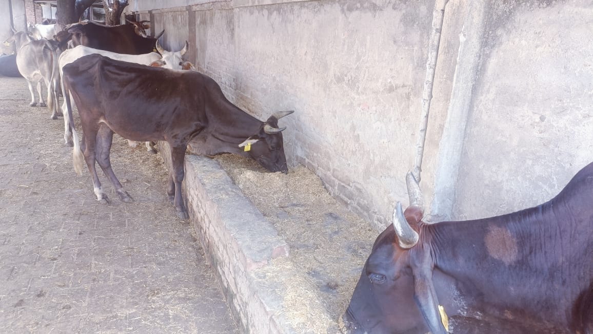 प्रकाशित खबर ।