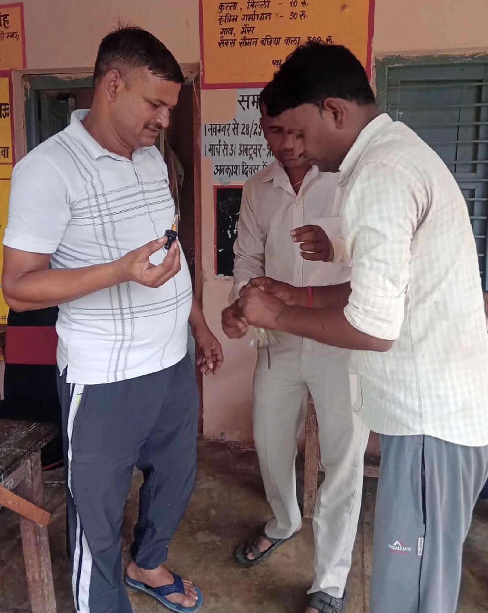 अलापुर इलाके में मृत पड़ी चिड़ियां। संवाद