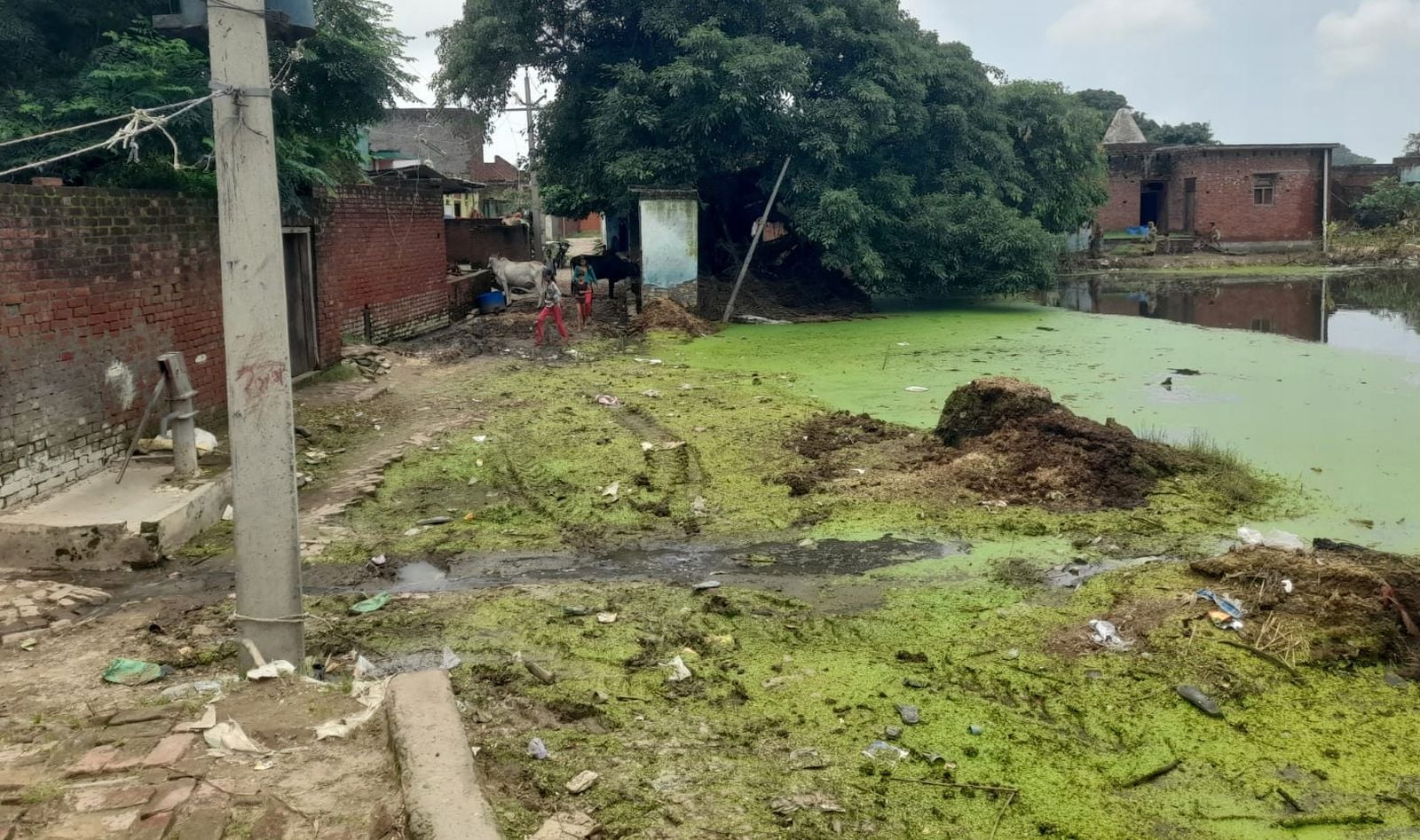 बांसबरौलिया में लगे स्वास्थ्य कैंप मौजूद सीएमओ। संवाद बांसबरौलिया में लगे स्वास्थ्य कैंप मौजूद सीएमओ। संवाद