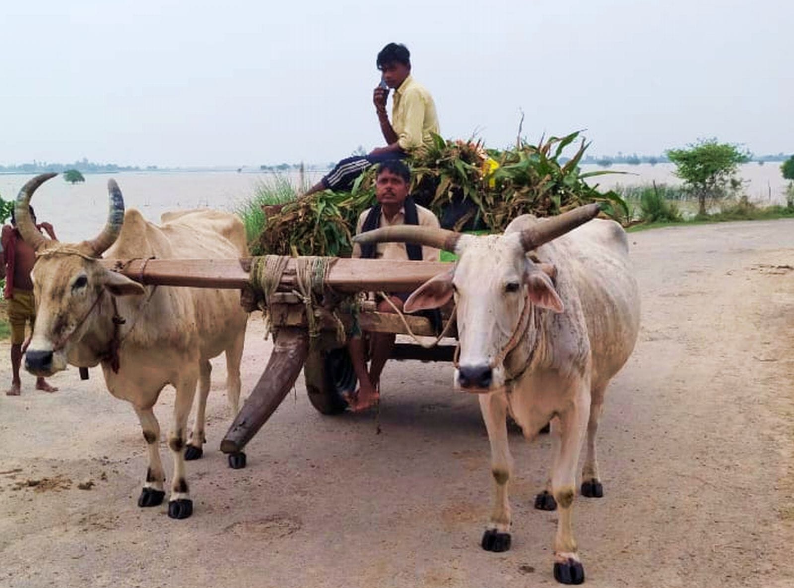 नगरिया खनू में खेतो में भरा बाढ़ के पानी के बीच नांव से जाते लोग। संवाद