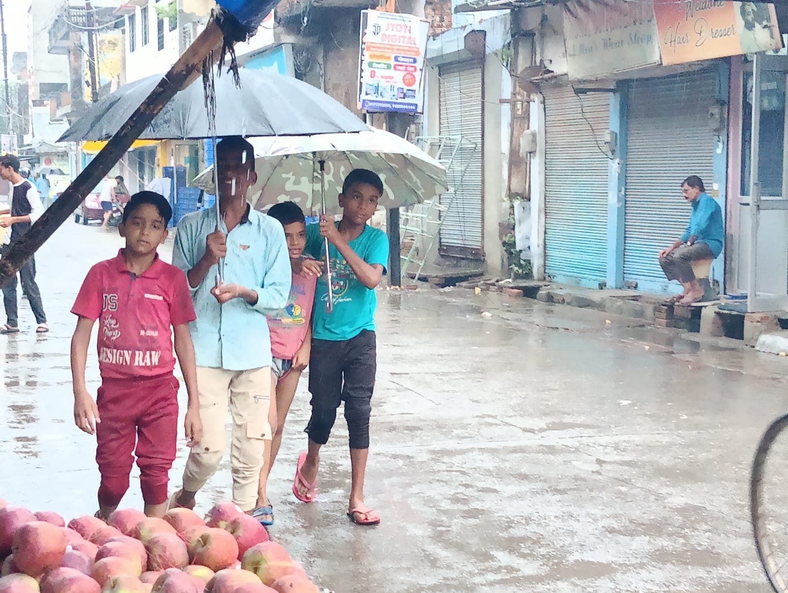 बारिश से गन्ने की गिरी फसल । स्त्रोत - ग्रामीण