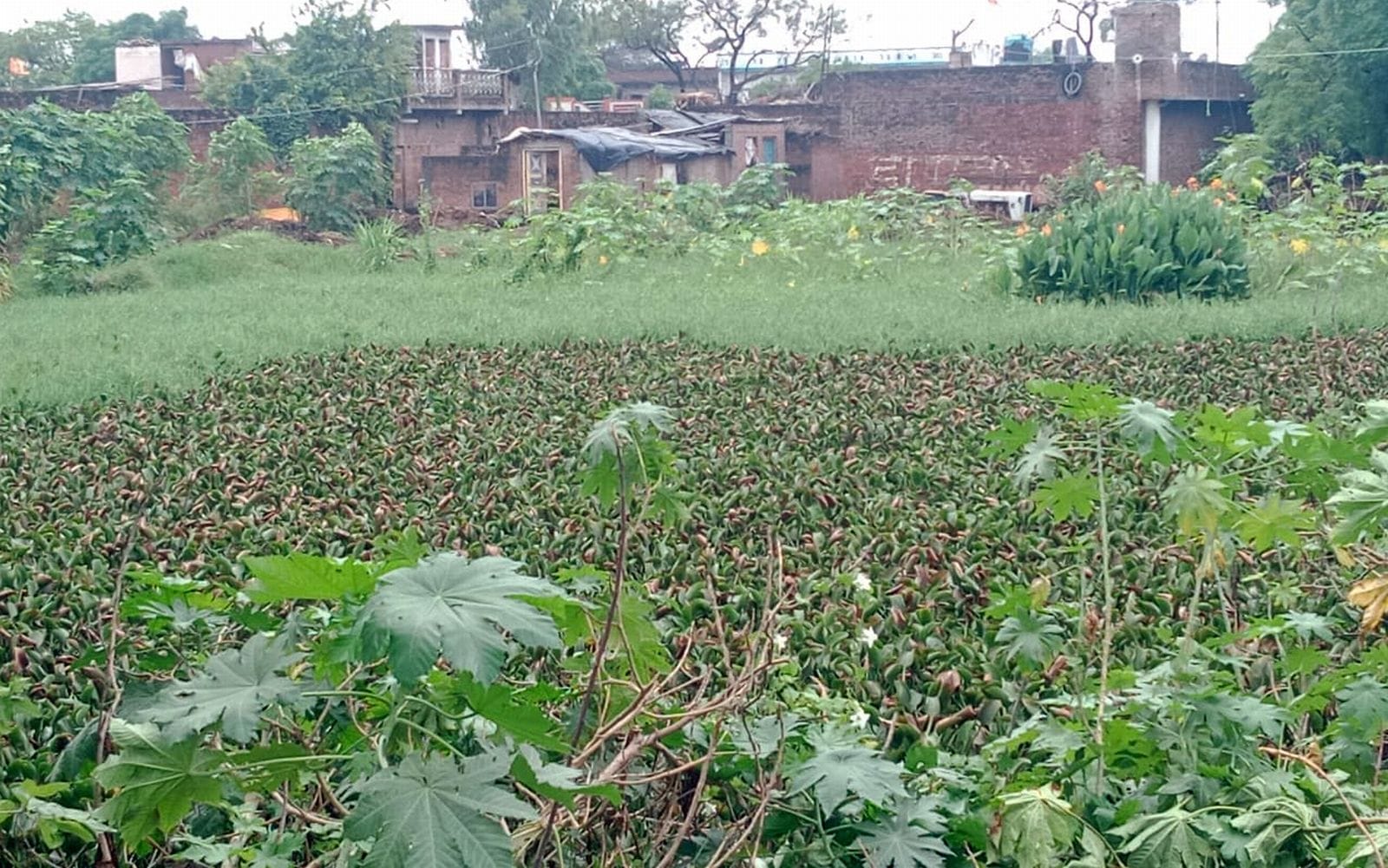 जिला अस्पताल में पर्चा बनवाने के लिए लगी मरीजों की भीड़। संवाद