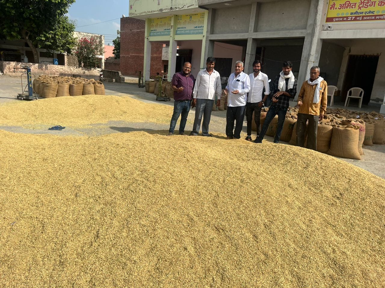 फोटो 08- मंडी में पहुंची धान की खरीद करते आढ़ती। संवाद
