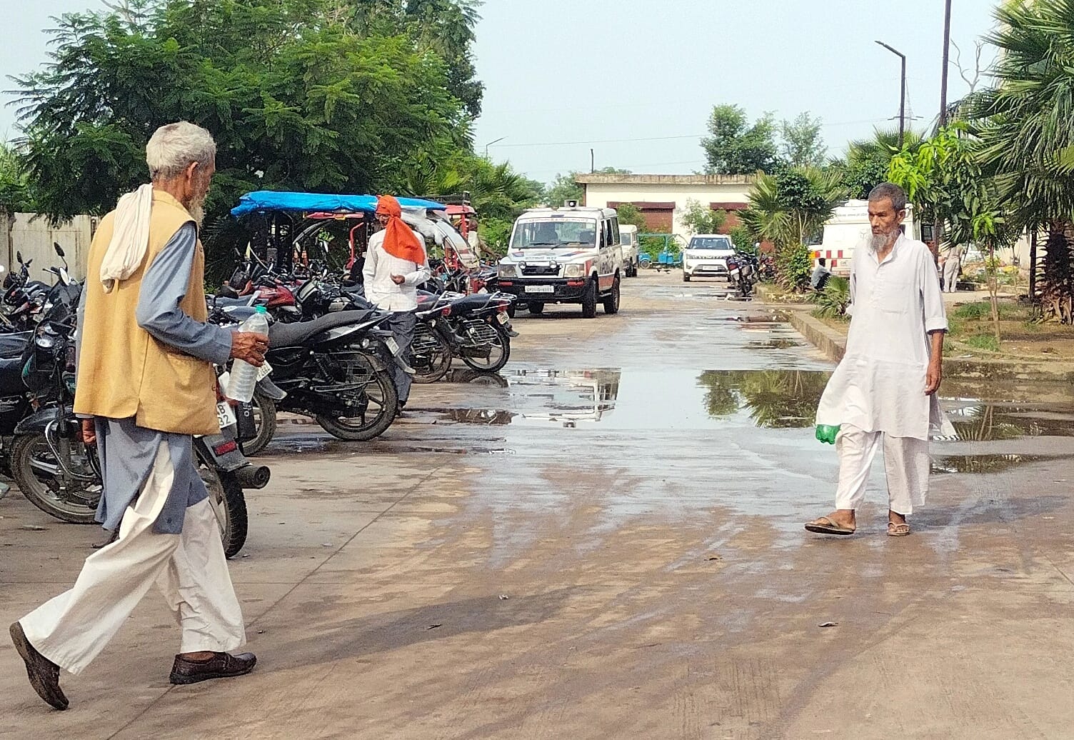 खोखाय गांव में सफाई न होने नाले पर उगी झाड़ियां खोखाय गांव में सफाई न होने नाले पर उगी झाड़ियां