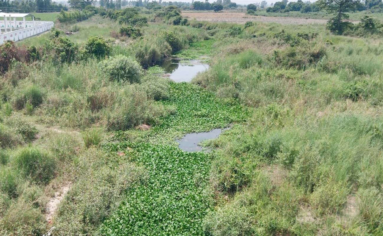 डॉ.एमएल अग्रवाल