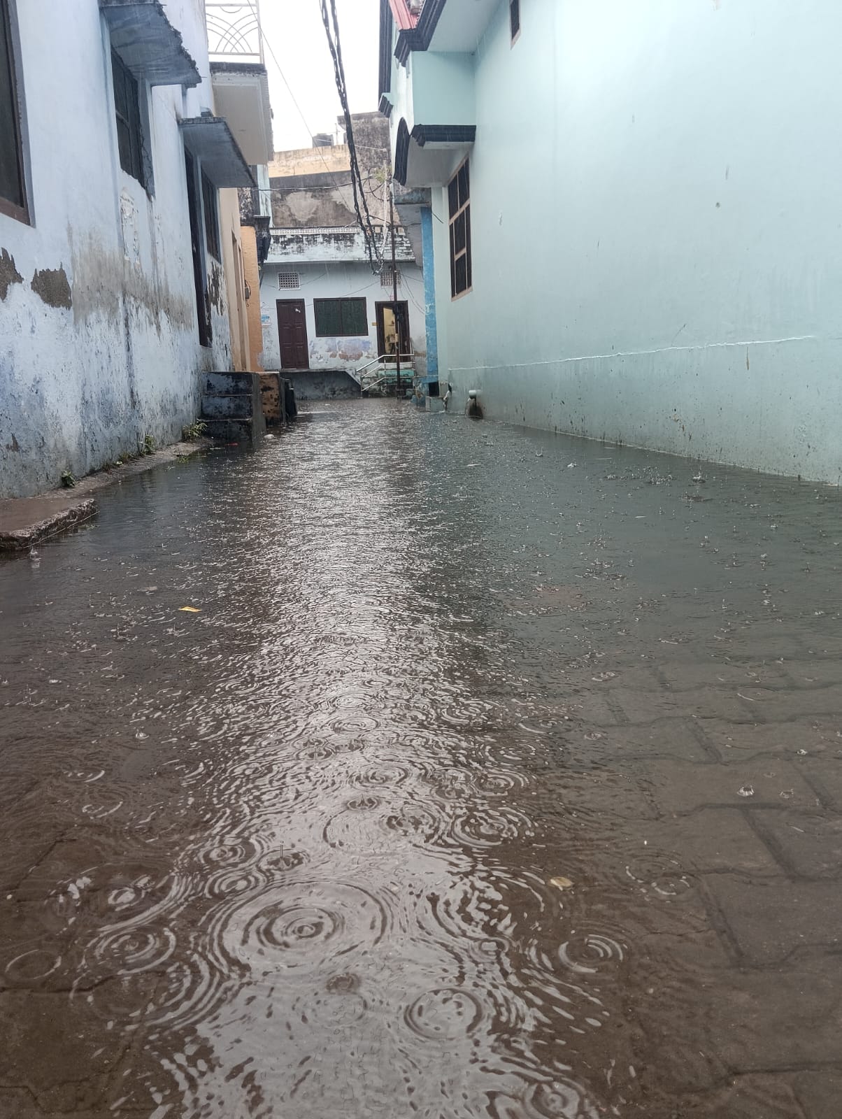 शहर में रविवार की सुबह हुई तेज बारिश में छाता लगाकर जाते बच्चे । संवाद