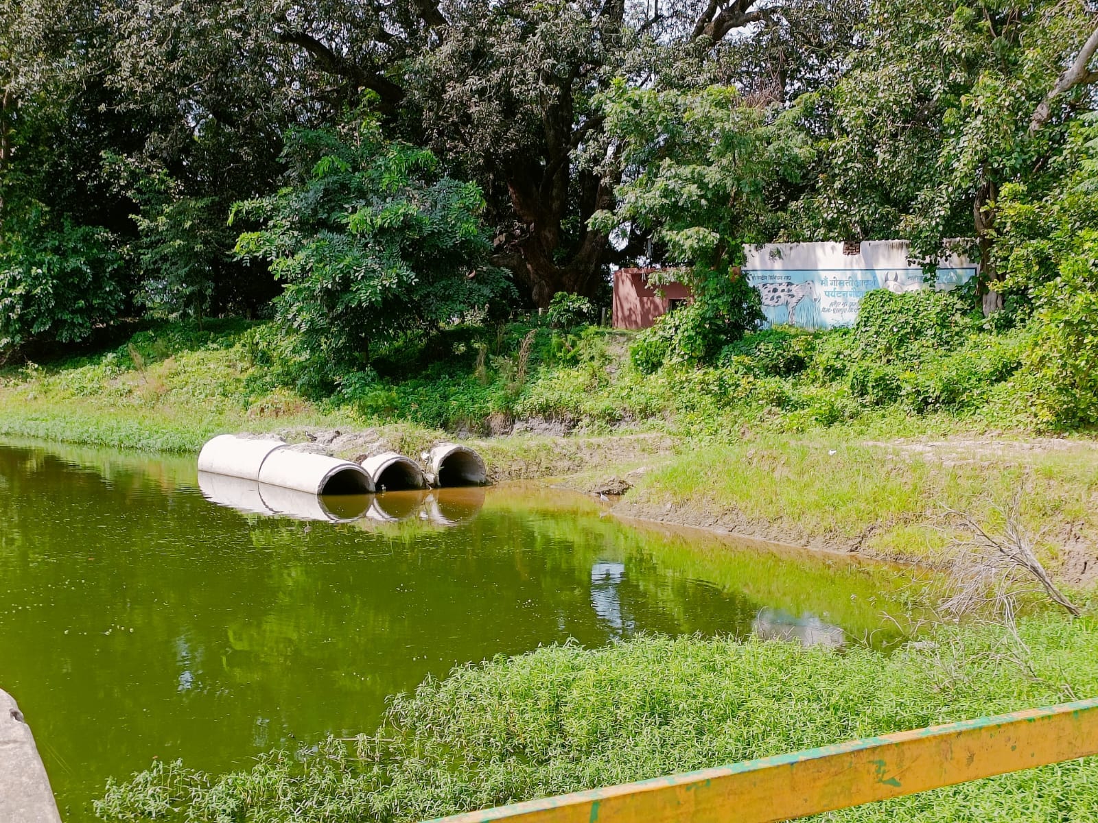 गोमती उदगम स्थल पर पोल में टूटी पड़ी लाइटें । संवाद