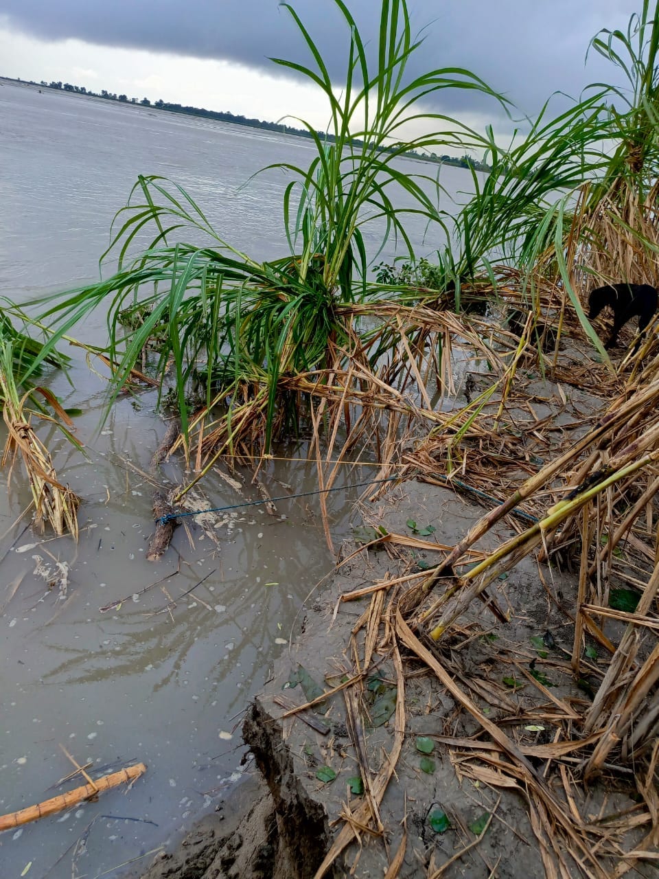 गांव चंदिया हजारा में चल रहे बेमियादी धरना प्रदर्शन में क्रमिक भूख हड़ताल पर बैठे लोग । स्रोत 