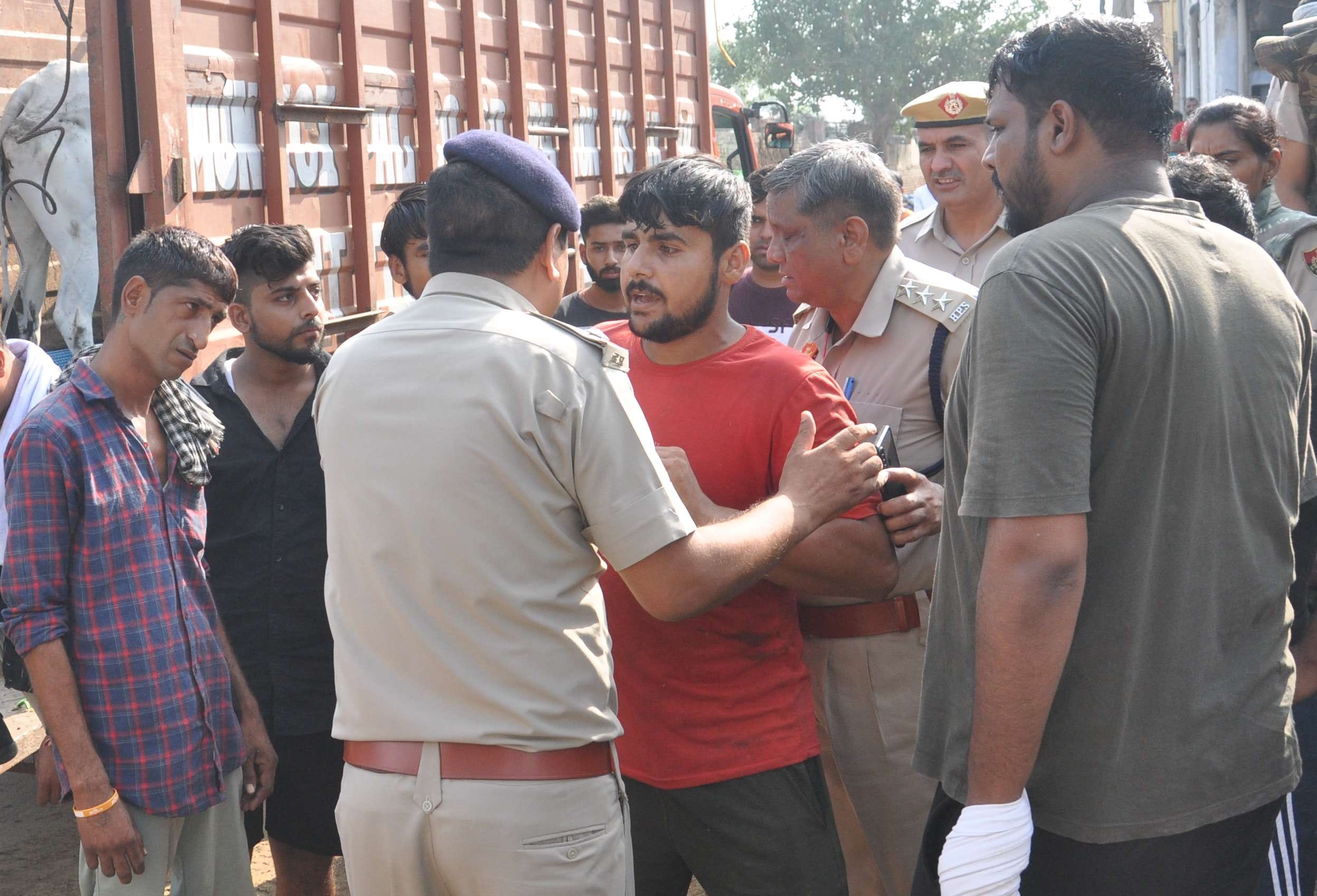हिसार में पशु पकड़ो महाअभियान के दौरान एक गाय ठेकेदार को टक्कर मारकर भागती हुई। 