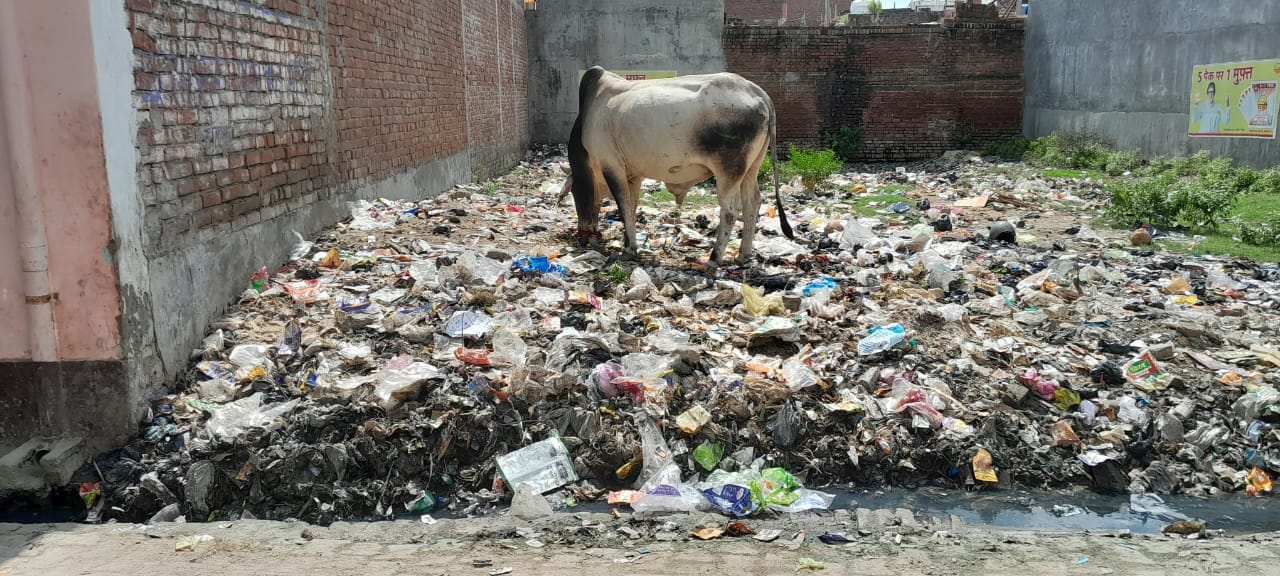 निर्मलनगर में खाली पड़े प्लाटों में भरा गंदा पानी निर्मलनगर में खाली पड़े प्लाटों में भरा गंदा पानी