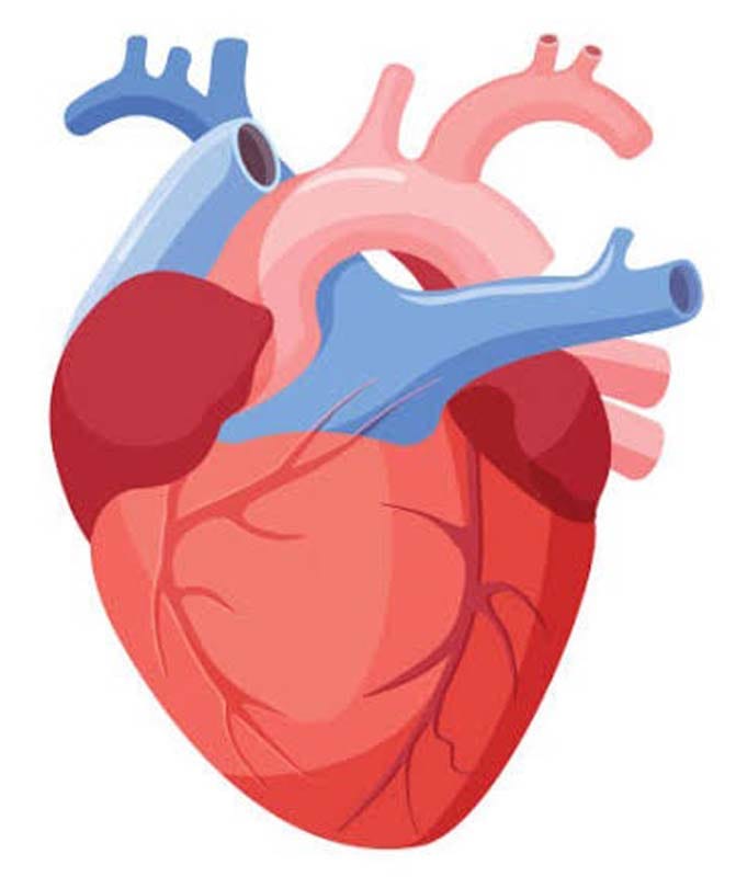 डॉ. राजीव पांडे, पुवायां। संवाद