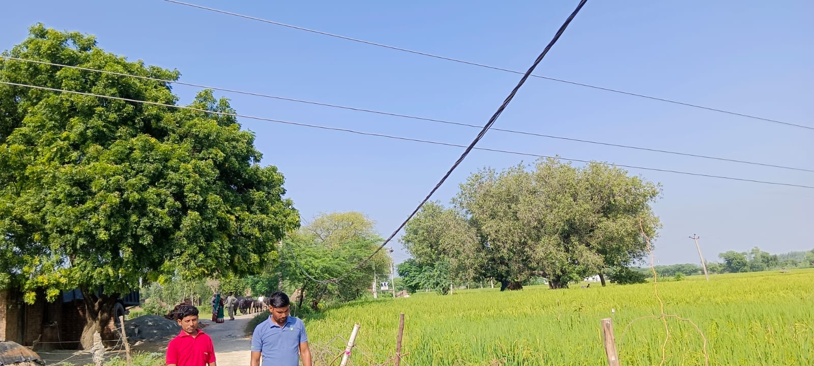 मृतक यूसुफ का फाइल फोटो मृतक यूसुफ का फाइल फोटो
