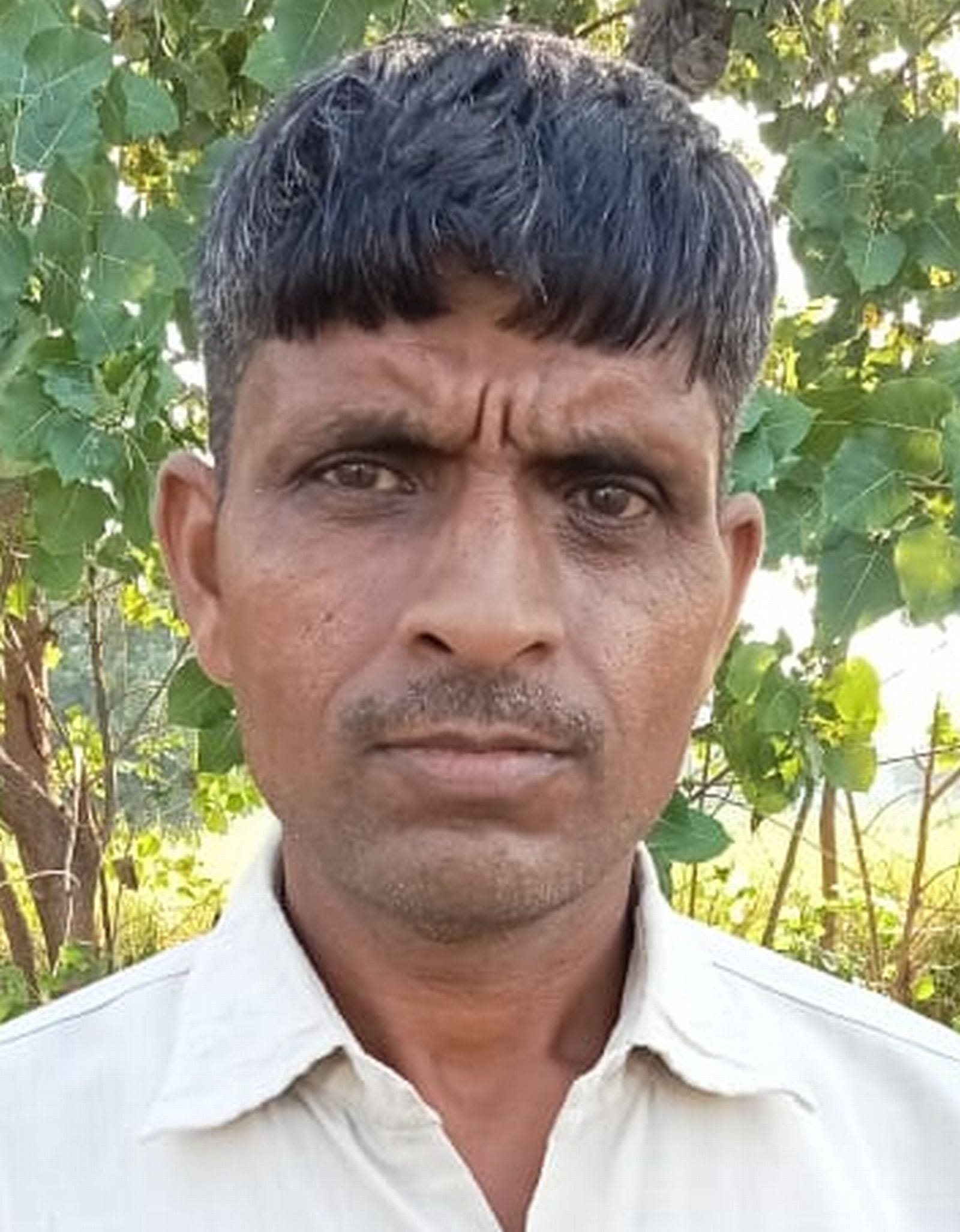 दिनेश पाल।