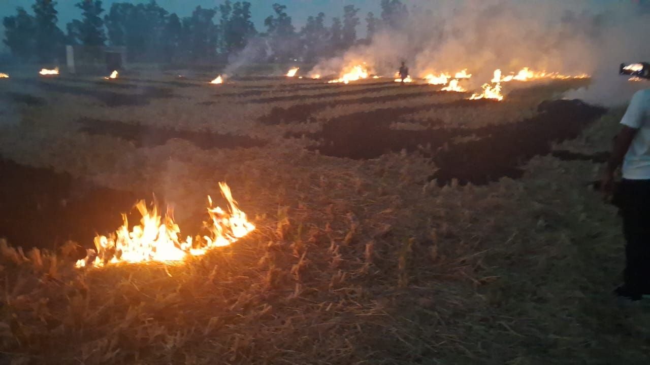 फोटो 30. गांव बुटाना के खेतों में पराली में फसल अवशेष में लगाई गई आग। स्रोत: कृषि विभाग