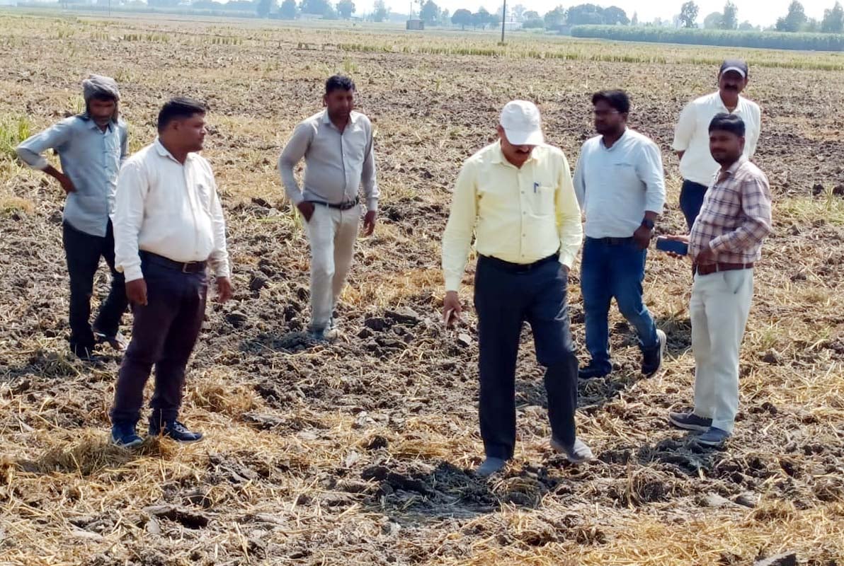 गांव पकड़िया हकीम में जलाई गई पराली। संवाद