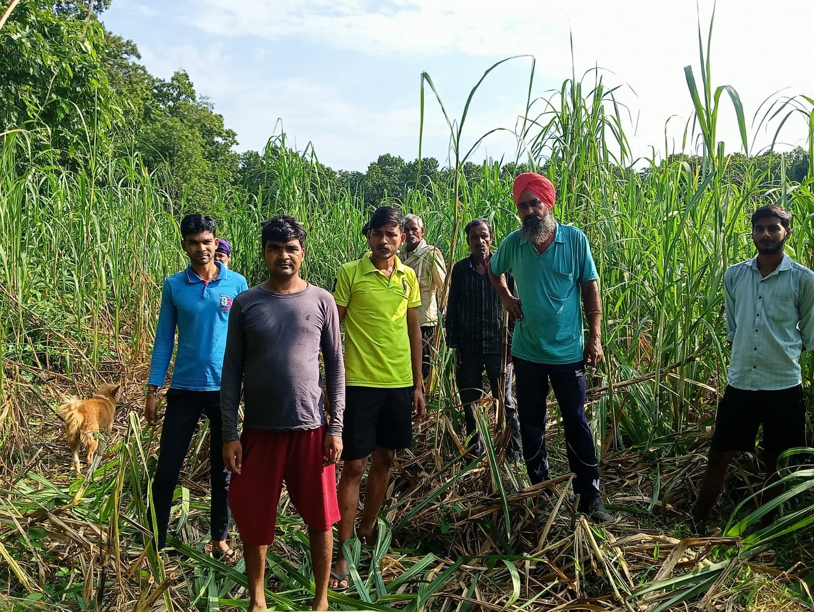 खराब और खाई गई फसल को देखते किसान व वनकर्मी । स्रोत - वन विभाग कर्मी