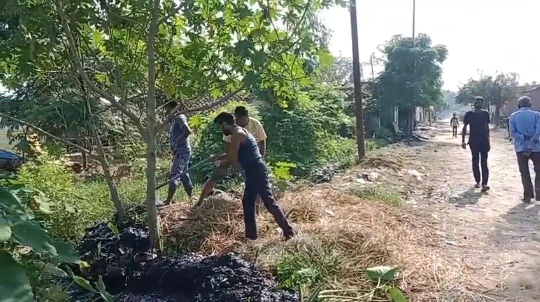 प्रकाशित खबर ।