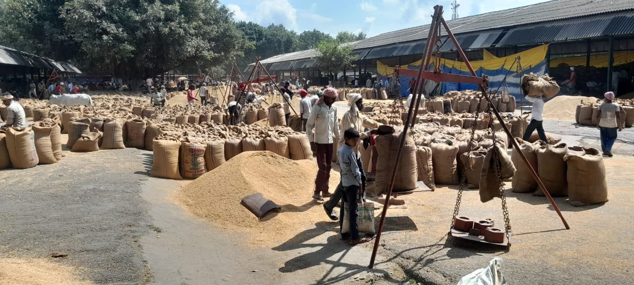 राजापुर मंंडी में लगे सरकारी धान खरीद केद्रों पर पसरा सन्नाटा
