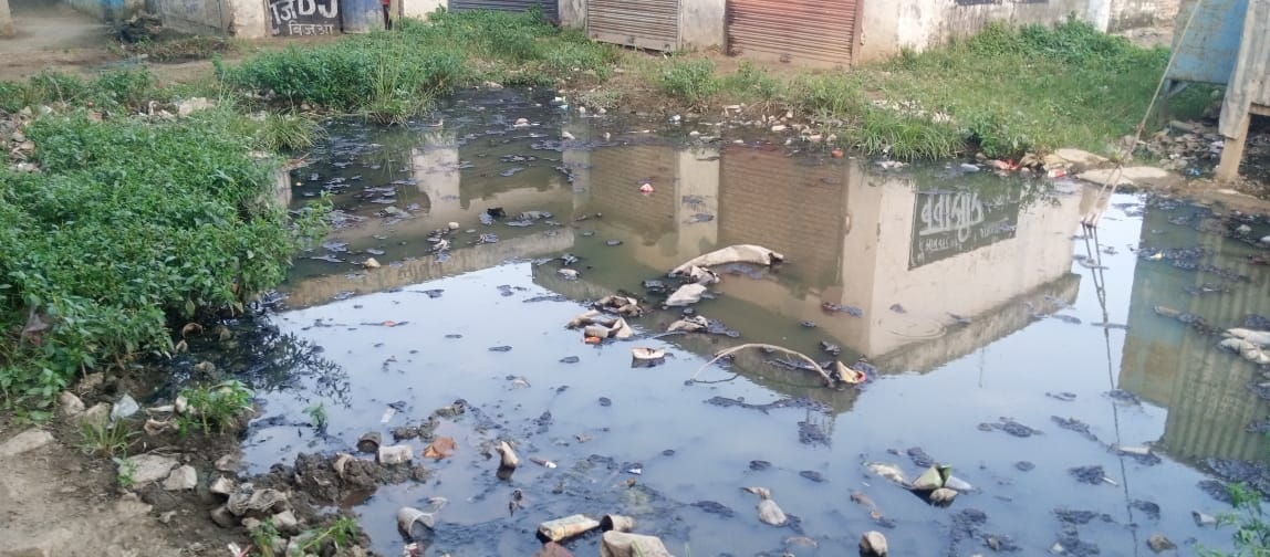फाइल फोटो धर्मेंद्र वाल्मीकि