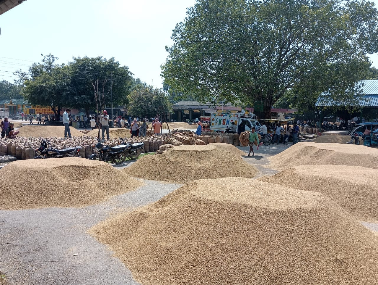 मंडी समिति में सूना पड़ा धान खरीद केंद्र । संवाद
