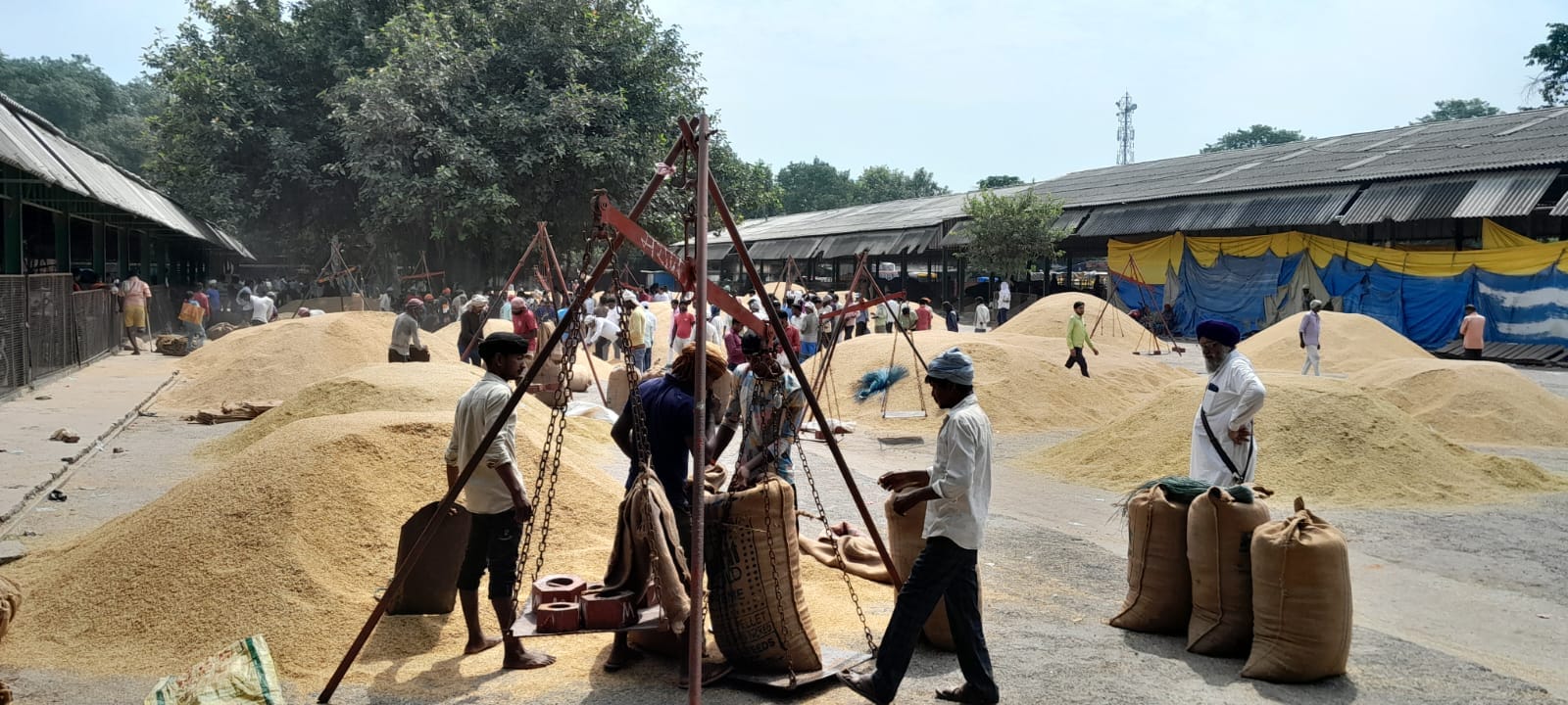 सरकारी धान खरीद केंद्र पर पसरा सन्नाटा