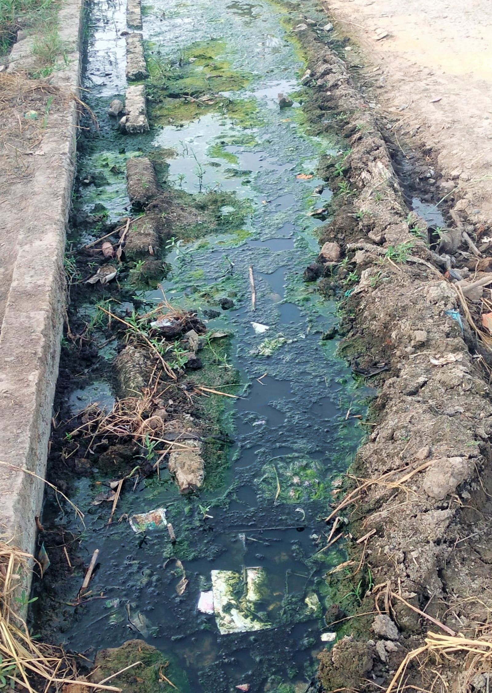 निजी चिकित्सक के यहां इलाज कराते डेंगू पीड़ित मरीज। संवाद