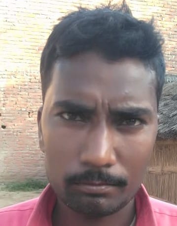 फसल नष्ट होने के बाद किसानों के खाली खेते में पशु चरते हुए। संवाद