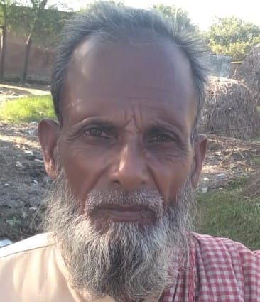 फसल नष्ट होने के बाद किसानों के खाली खेते में पशु चरते हुए। संवाद