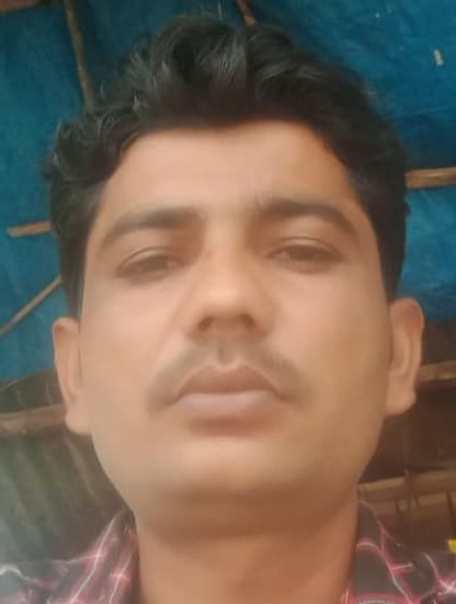 फसल नष्ट होने के बाद किसानों के खाली खेते में पशु चरते हुए। संवाद