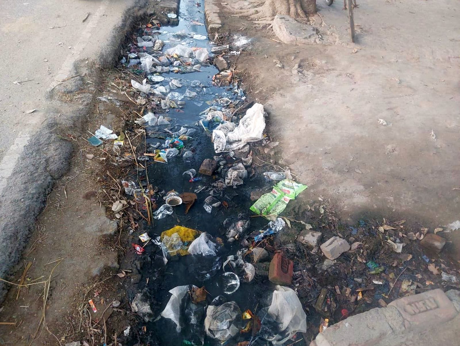 श्वेता राठौर। फाइल फोटो