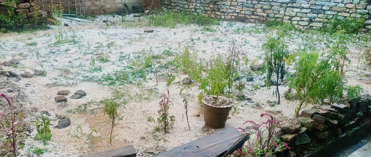 धारचूला के कुटी गांव में हुई बर्फबारी। फोटो: सौजन्य ग्रामीण