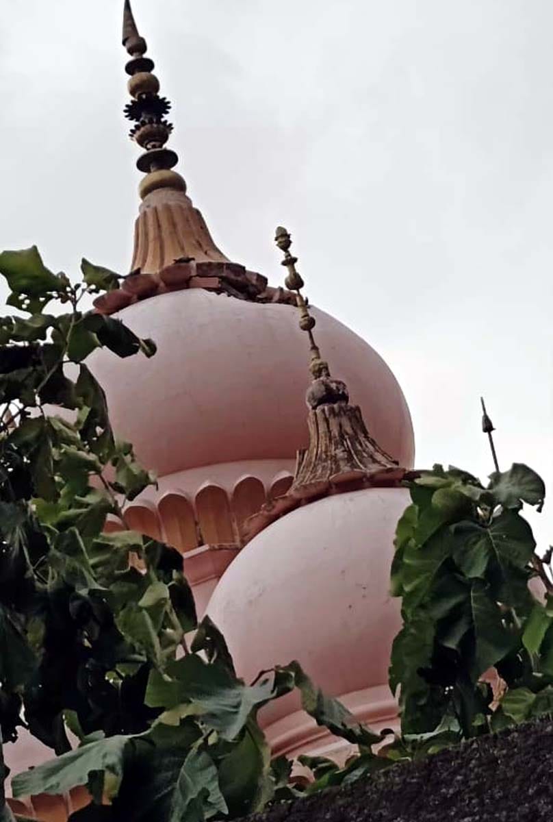 आंधी, बारिश से पुवायां क्षेत्र में गिरी  गन्ने  की फसल। संवाद