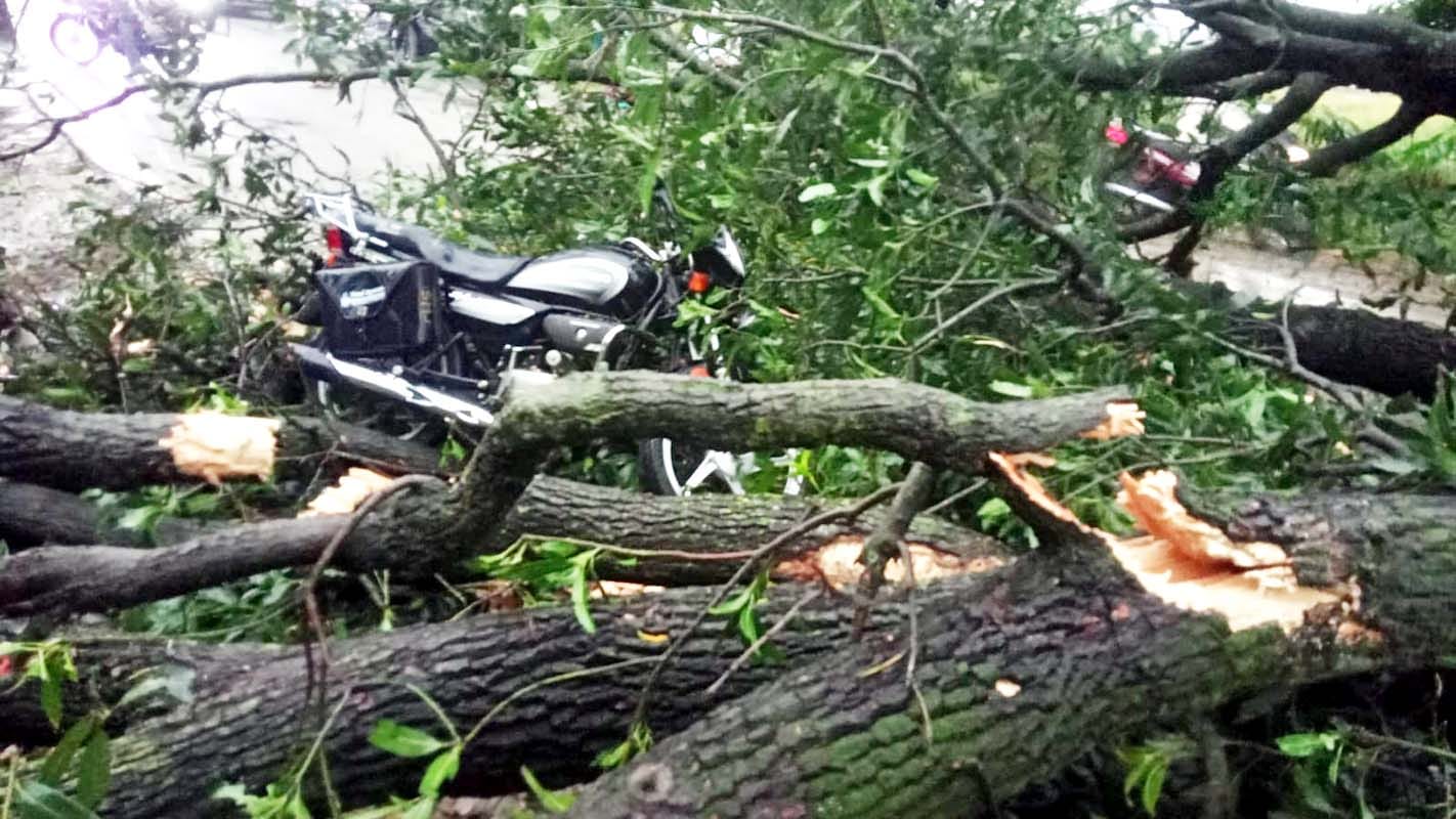 गांव हरनाई के प्रधान होतेलाल का फाइल फोटो। स्रोत परिजन