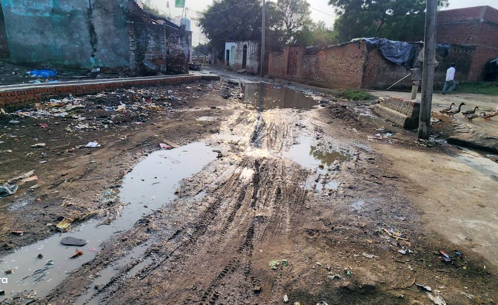 नेतराम। नेतराम।
