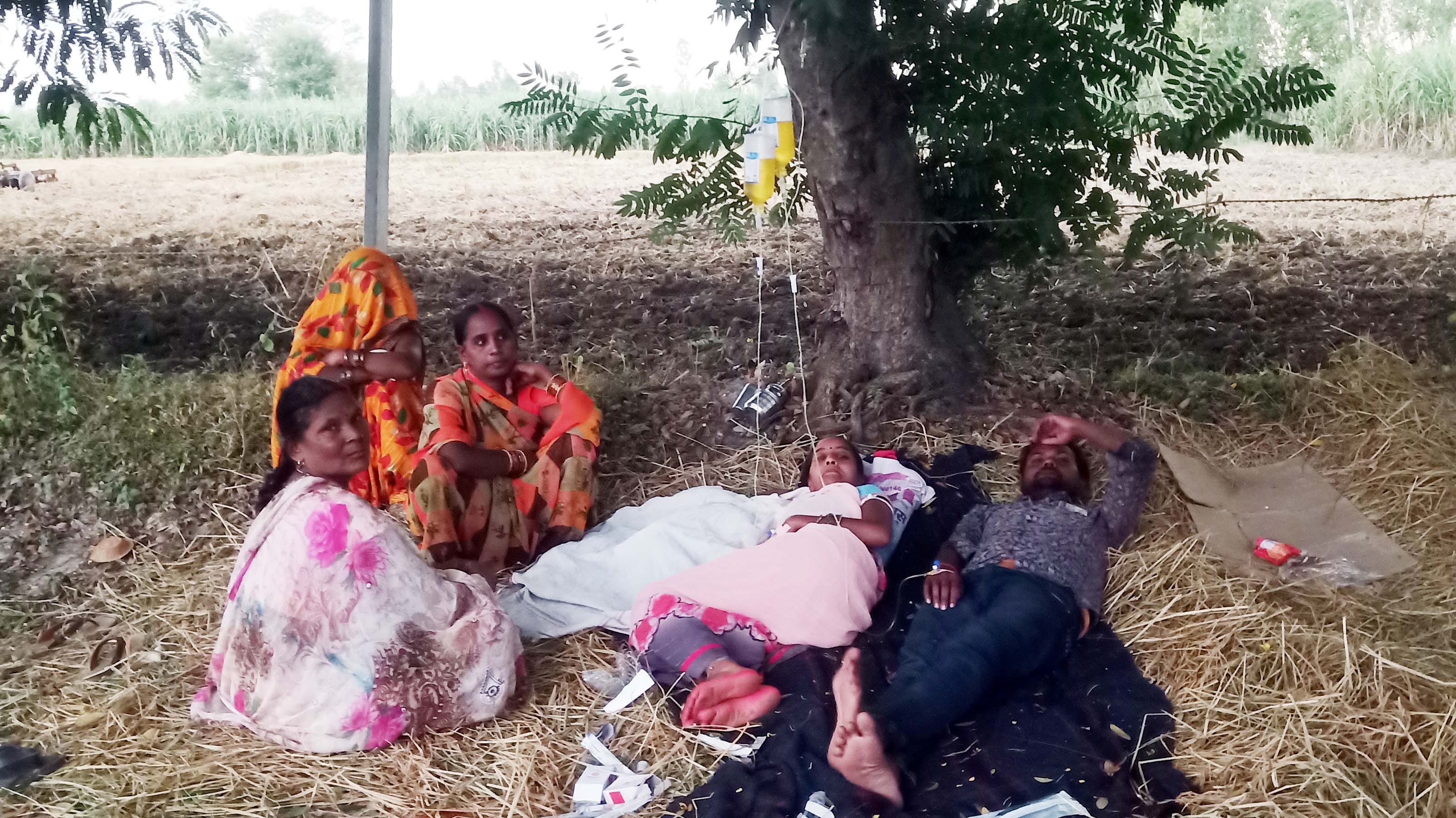 पेड़ पर लटकी ग्लूकोज की बोतलें और बुखार के रोगियों की भीड़। संवाद पेड़ पर लटकी ग्लूकोज की बोतलें और बुखार के रोगियों की भीड़। संवाद