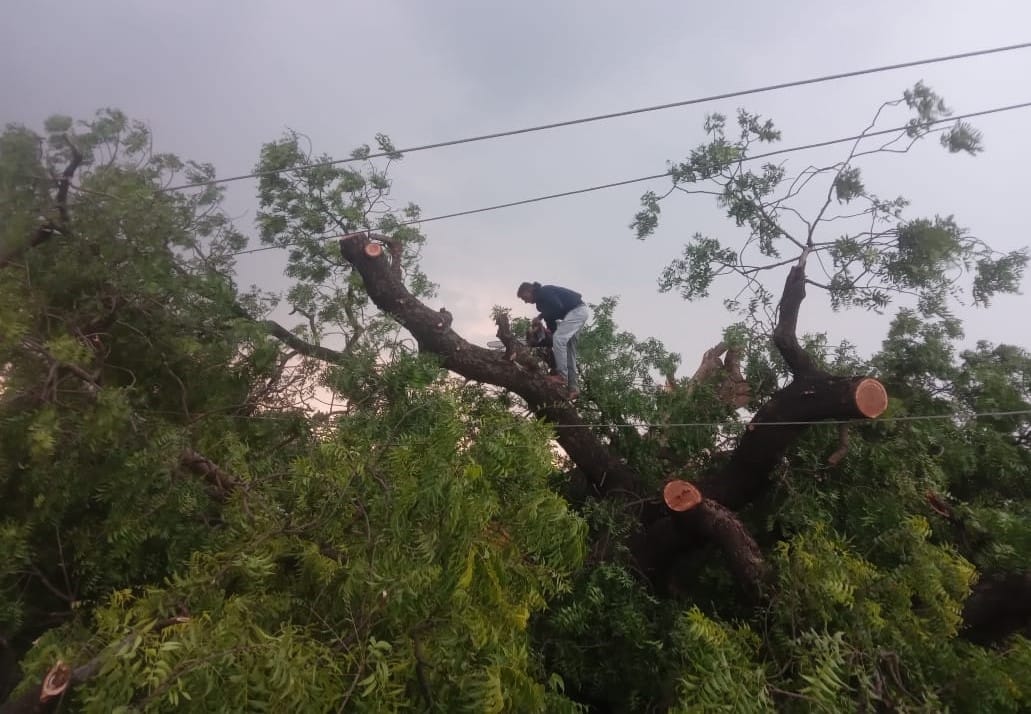 तेल टंकी रोड पर हल्की बारिश के बाद हुआ कीचड़। संवाद