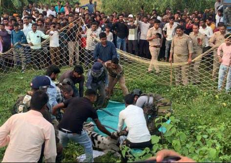 गन्ने के खेत की ओर भागती बेकाबू भीड़ । संवाद