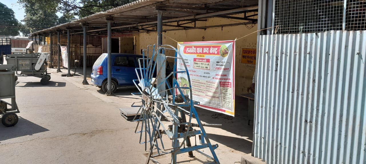 गोला में मंडी समिति स्थित केंद्र पर लगी धान की ढेरी। गोला में मंडी समिति स्थित केंद्र पर लगी धान की ढेरी।