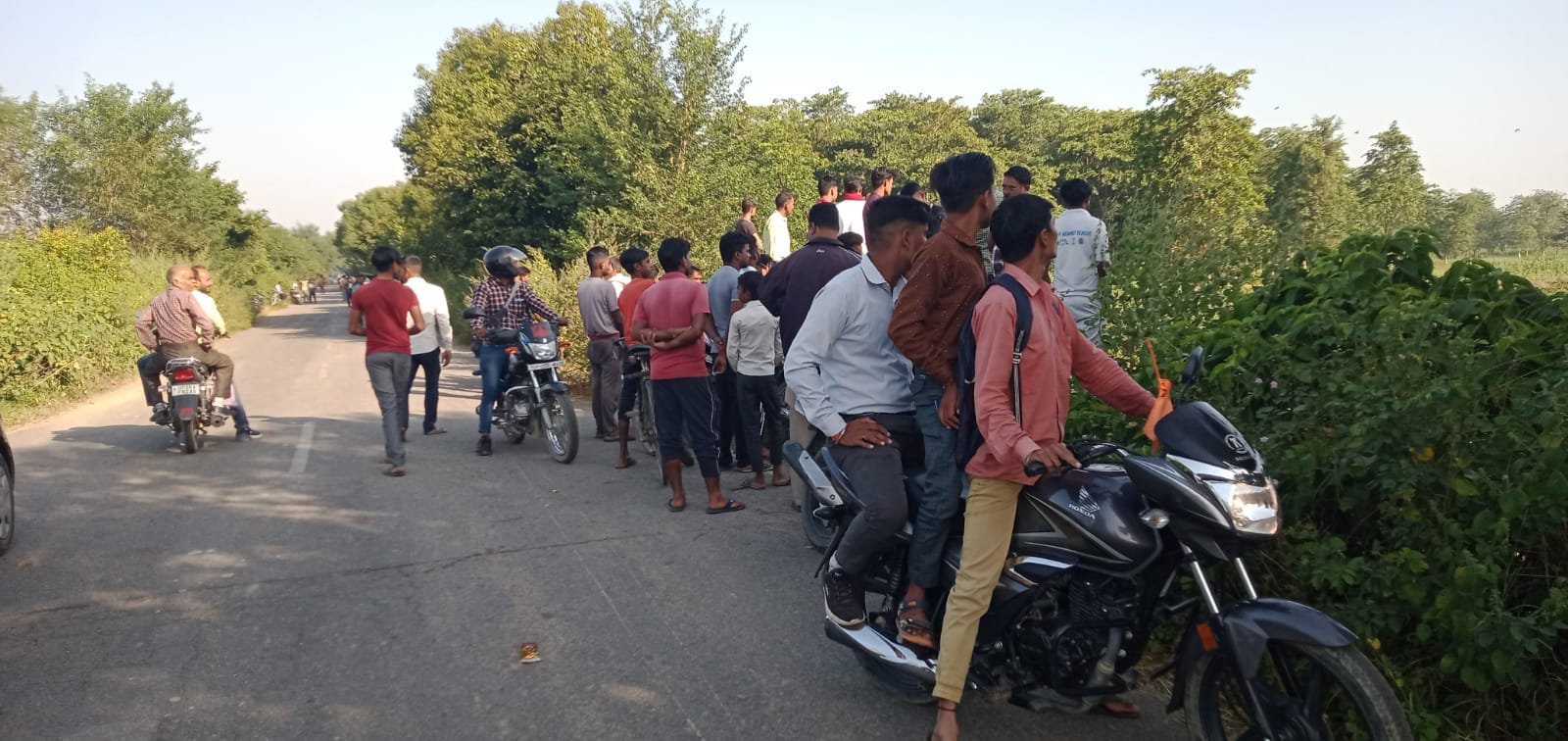मार्ग किनारे उगी झाड़ियां में खड़ा बाघ। फाइल फोटो
