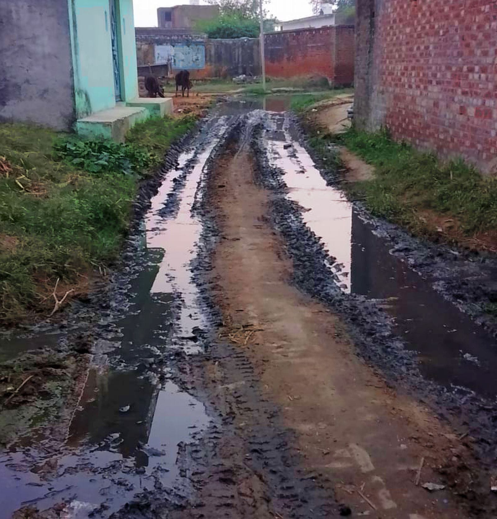 दबतोरा गांव में नाली में जमा गंदगी। संवाद