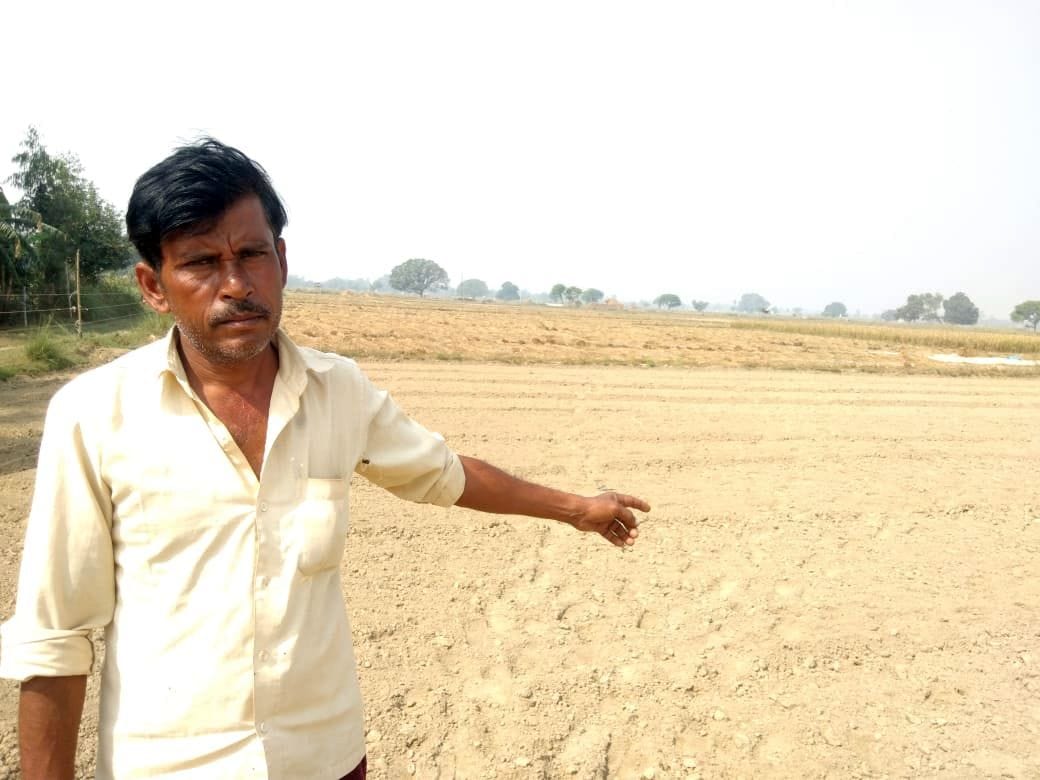 खाद की खबर में,रामसेवक। संवाद