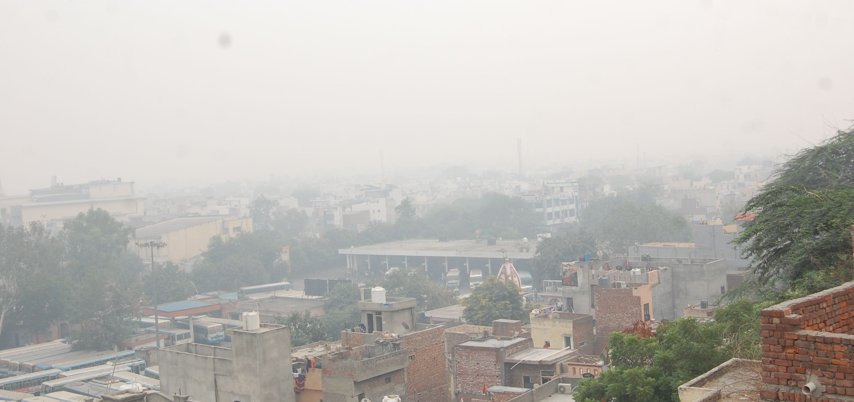 फोटो :18: सोनीपत के गांव रोहट में सुबह छाया स्मॉग। संवाद फोटो :18: सोनीपत के गांव रोहट में सुबह छाया स्मॉग। संवाद